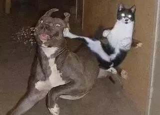 广州人会说不会写的31个粤语字,有哪些会说不会写的粤语字