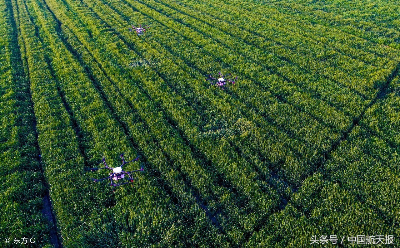 中国航天科工十院导弹系统,中国航天运载火箭技术研究院十所