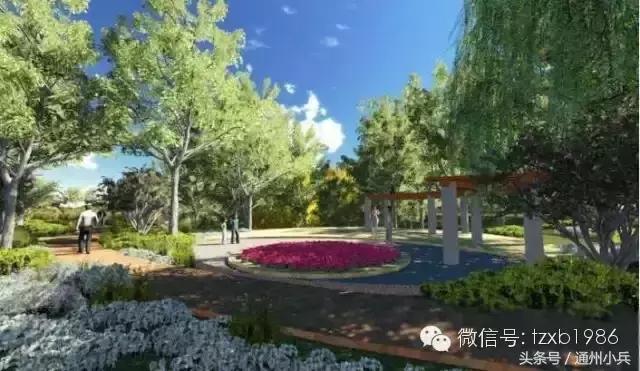 2020未来三年西集镇规划,西片区最新拆迁规划