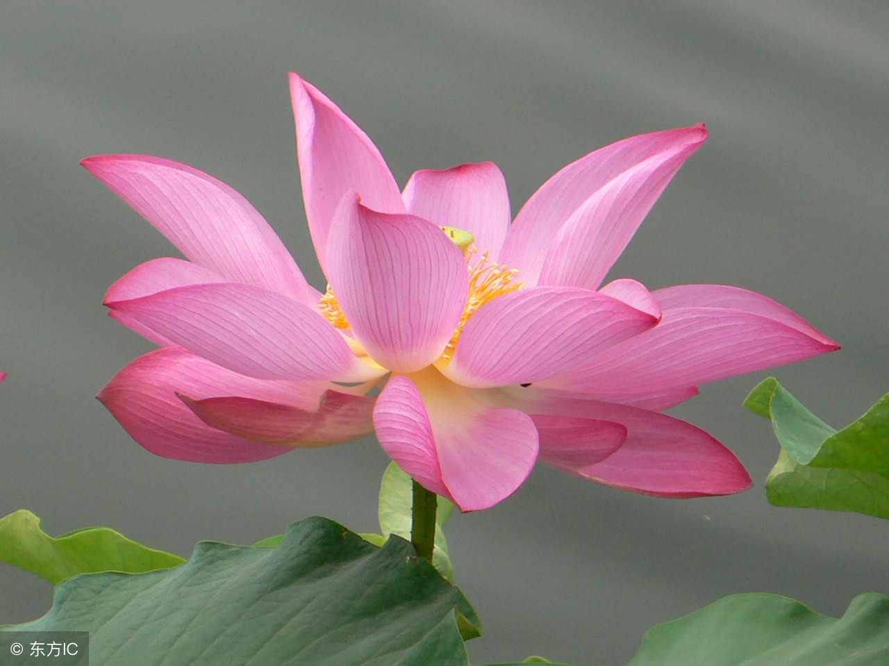 我手淫后现实的残酷教训！