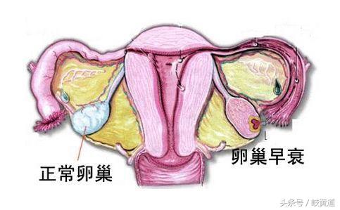 40岁经期2个月来一次是早衰,40岁例假提前是不是卵巢早衰