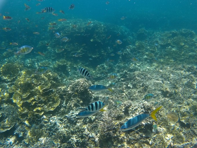 蜜月短途旅行,蜜月旅行遇见朋友闺蜜