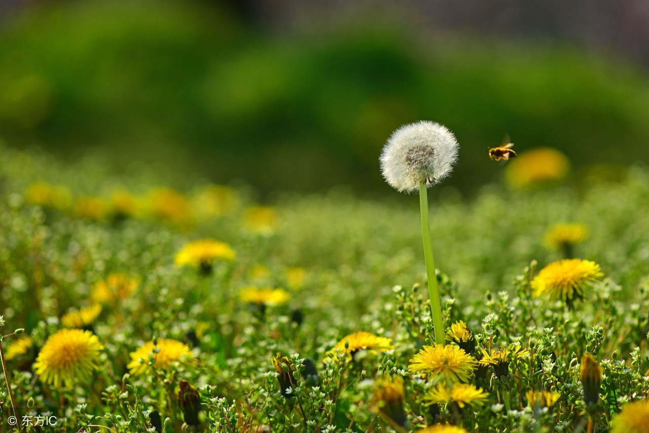 WWW下的中年脆弱：钱解决不了所有的问题