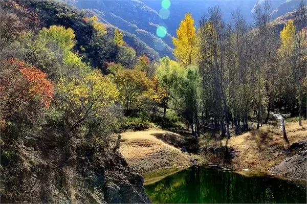 北京各区16处免费森林公园,北京最新40个公园