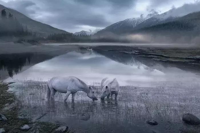 2018年全球华人摄影十杰,中国第18届国际摄影展入围作品