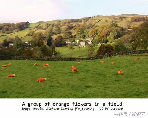 绁炵粡缃戠粶浼氬嚭閿欏悧,绁炵粡浜轰細姊﹀埌鐢靛瓙缇婂悧