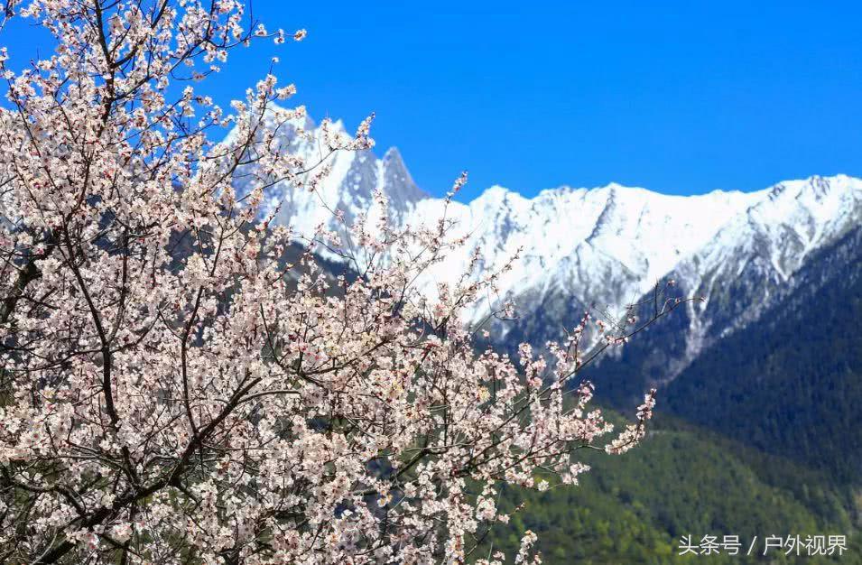 中国3月适合自驾的地方,自驾藏南旅游攻略