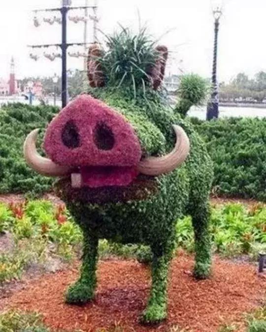 刚出的群主相册,有群的都看看,太美了,这一辈子见一次值了!