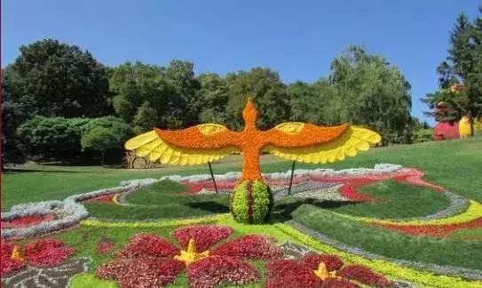 刚出的群主相册,有群的都看看,太美了,这一辈子见一次值了!