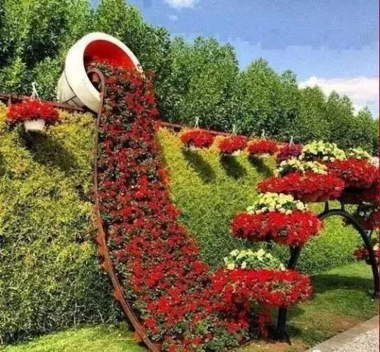 11月4,有群的都看看,太美了,这一辈子见一次值了!