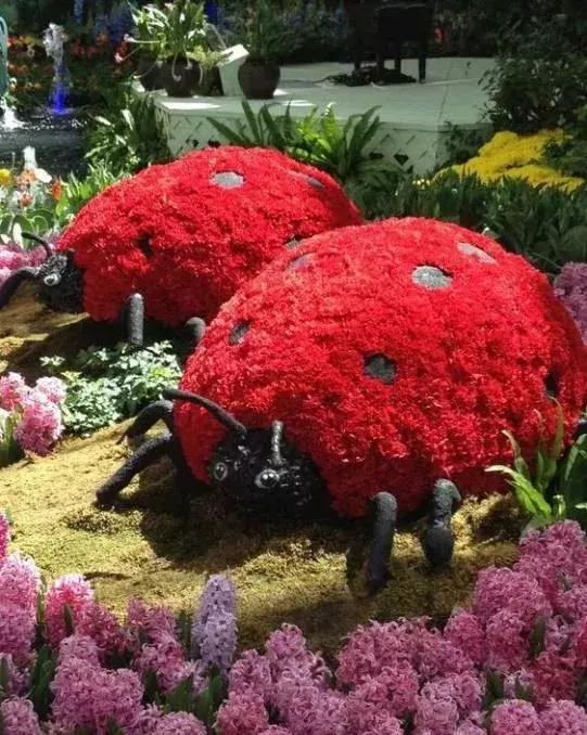 刚出的群主相册,有群的都看看,太美了,这一辈子见一次值了!