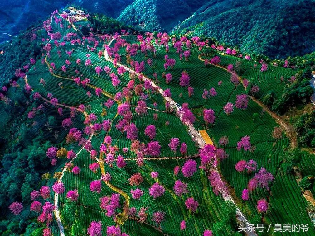 我们的家美在哪,我们的家在中国