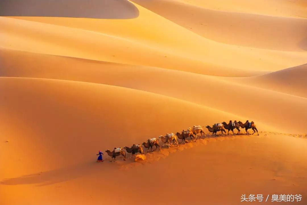 我们的家美在哪,我们的家在中国