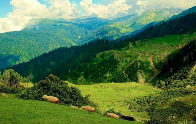 善良不用护照、单纯无需签证，猴神大叔满满爱心终将小萝莉带回家