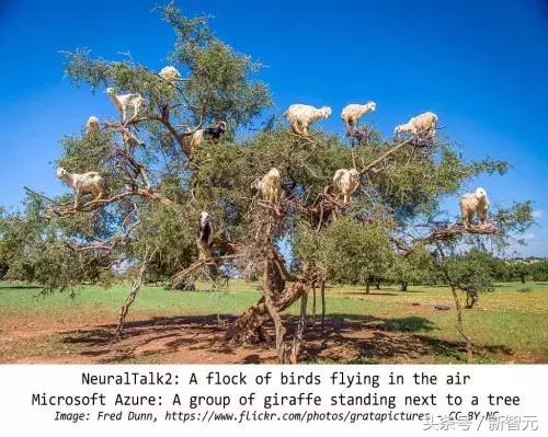 绁炵粡缃戠粶浼氬嚭閿欏悧,绁炵粡浜轰細姊﹀埌鐢靛瓙缇婂悧