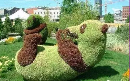 刚出的群主相册,有群的都看看,太美了,这一辈子见一次值了!