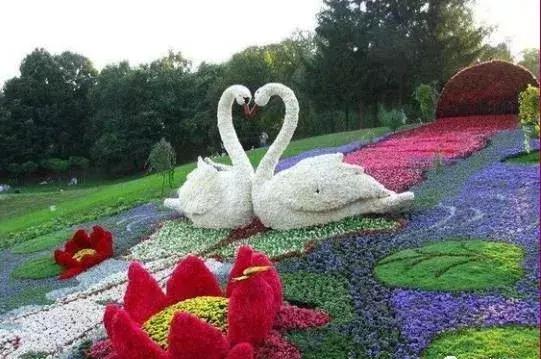 11月4,有群的都看看,太美了,这一辈子见一次值了!