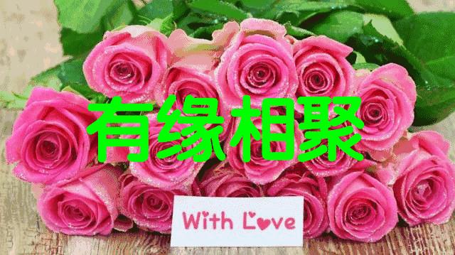 11月4,有群的都看看,太美了,这一辈子见一次值了!