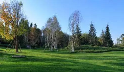 北京各区16处免费森林公园,北京最新40个公园