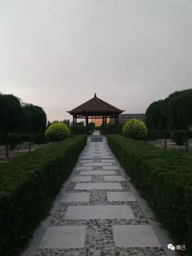 淡然和美——说你在离开信院的时候，是怎样的感觉