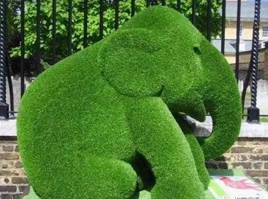 11月4,有群的都看看,太美了,这一辈子见一次值了!