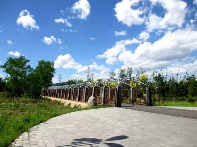 北京这38个森林公园您都去吗？先收藏了，有空咱们玩个遍！