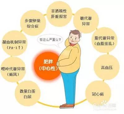 5.11世界防治肥胖日英文名,511世界防治肥胖日