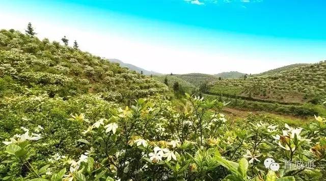 相约南溪古城夜景,相约南溪