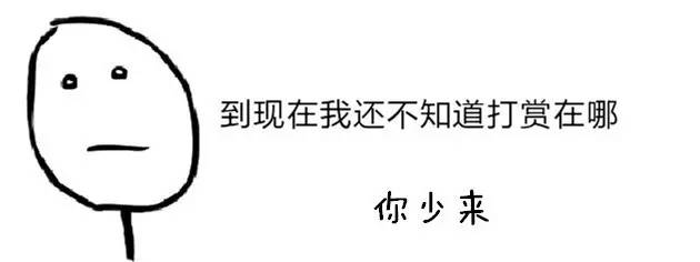 规定动作与自选动作的区别,规定动作自选动作还有什么动作