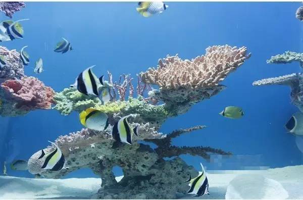 武汉下雨天带娃好去处,武汉雨后适合去哪里玩