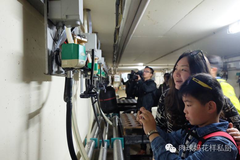 为什么说牛奶是最佳的补钙来源,为什么说牛奶是最佳补钙食物来源