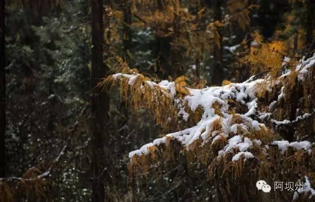 512汶川地震十二年铭记历史,缅怀汶川512地震