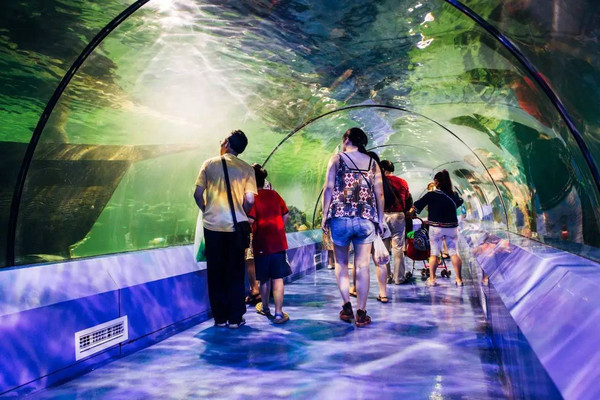 2022春天重庆周边亲子游玩的地方 (重庆周边亲子游2-3天冬季)