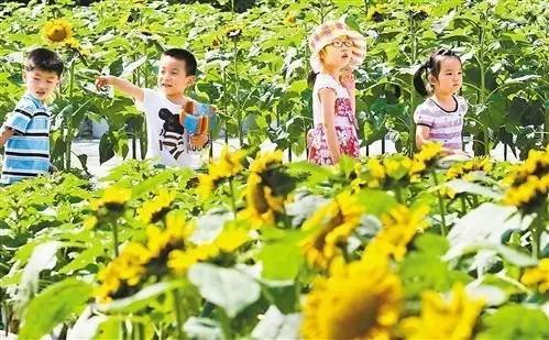 2022春天重庆周边亲子游玩的地方 (重庆周边亲子游2-3天冬季)