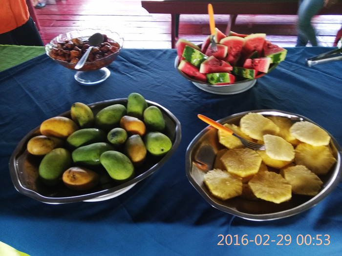 去巴西阿根廷秘鲁智利四国游,巴西阿根廷智利秘鲁地图