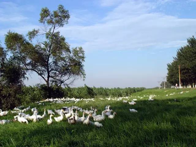 郑州适合居住,郑州哪个区最适合居住
