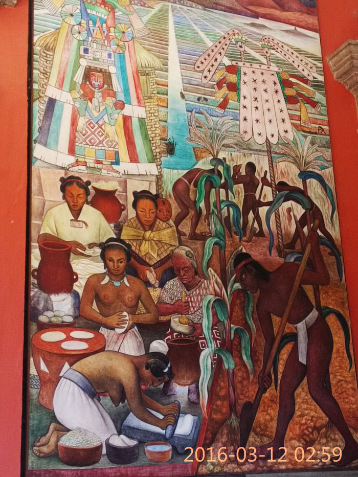 去巴西阿根廷秘鲁智利四国游,巴西阿根廷智利秘鲁地图