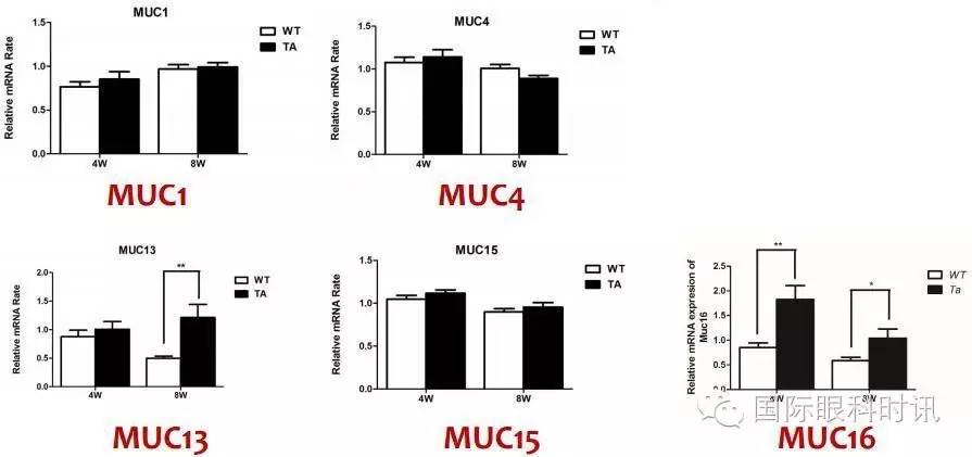 角膜会2016李炜教授:EDA基因突变鼠:一种新的睑板腺功能障碍相关性干眼动物模型
