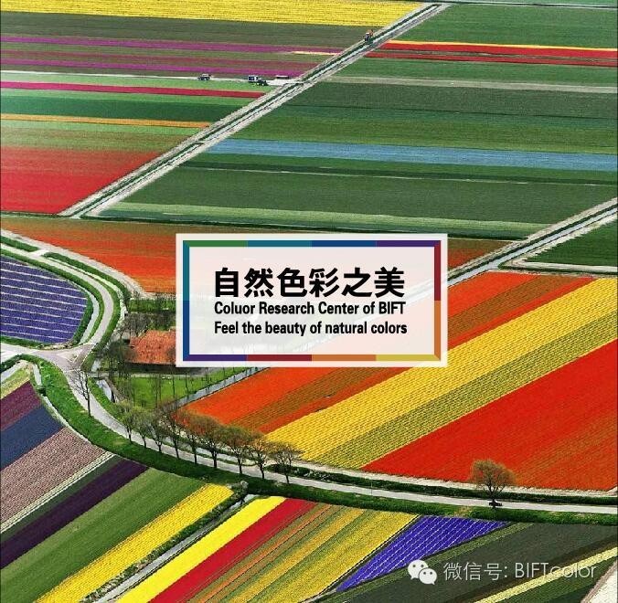 No.339期雨后欣赏彩虹时，你了解形成的科学原理？