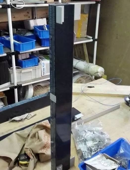 超级白，超会做，这才叫养鱼！