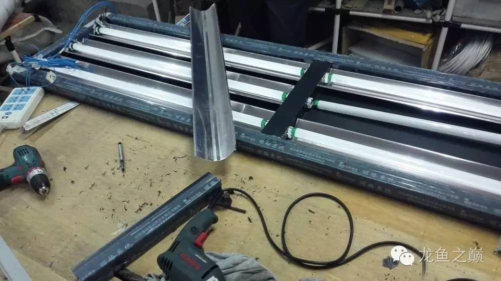 超级白，超会做，这才叫养鱼！