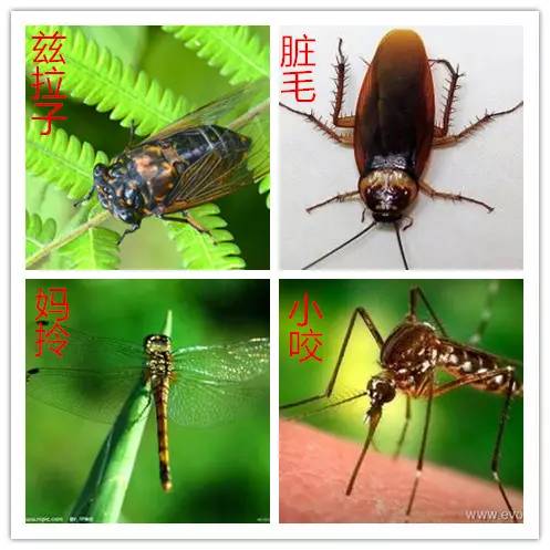 是不是正宗滨海人，一句话就能证明！