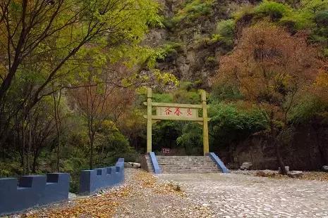 北京各区16处免费森林公园,森林公园北京有几个