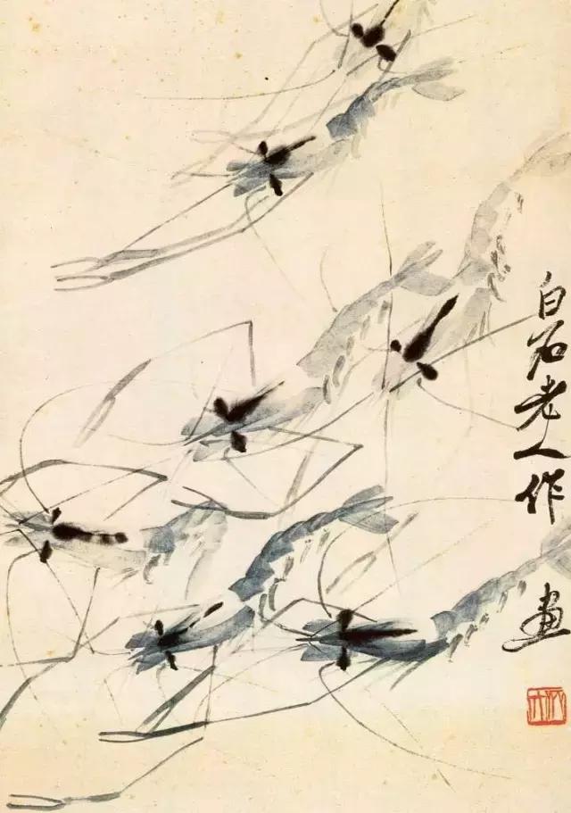齐白石画虾的6只虾,画虾齐白石虾的画法步骤