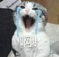 不用花钱就可以买到的东西,不用花钱就能买到的东西