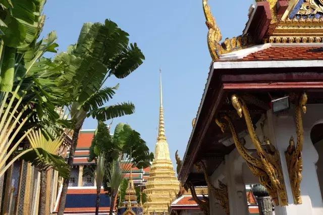 泰国山竹季节,泰国季节分为几季