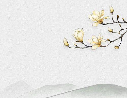 杜甫笔下春天的江山是壮丽的,杜甫绝句描述什么样的春天的景色