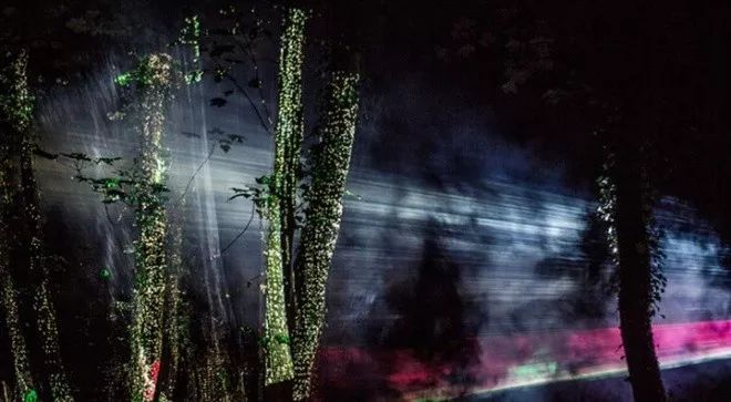 加拿大奇幻森林,加拿大魔法森林风景