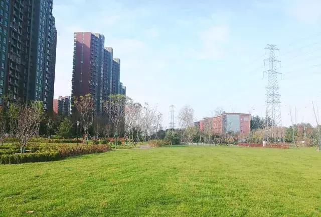 海淀后花园,海淀后花园小院