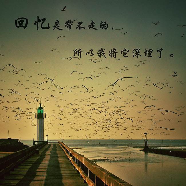 我喜欢的英文歌,你一定会喜欢的翻译